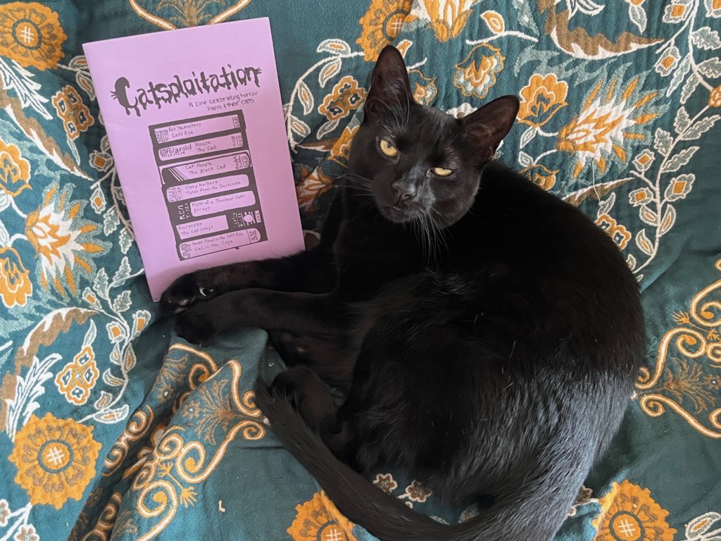 Black cat lying on an orange and blue blanket, with a purple 'zine next to her.